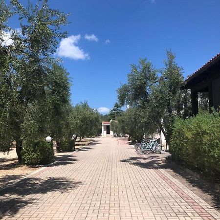 Tenuta Montincello Vieste Exterior foto