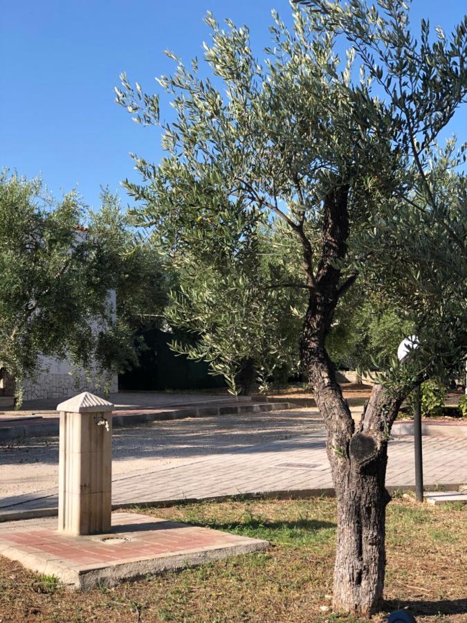 Tenuta Montincello Vieste Exterior foto